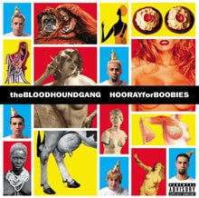 Load image into Gallery viewer, Bloodhound Gang - Hooray For Boobies (25th Anniversary)