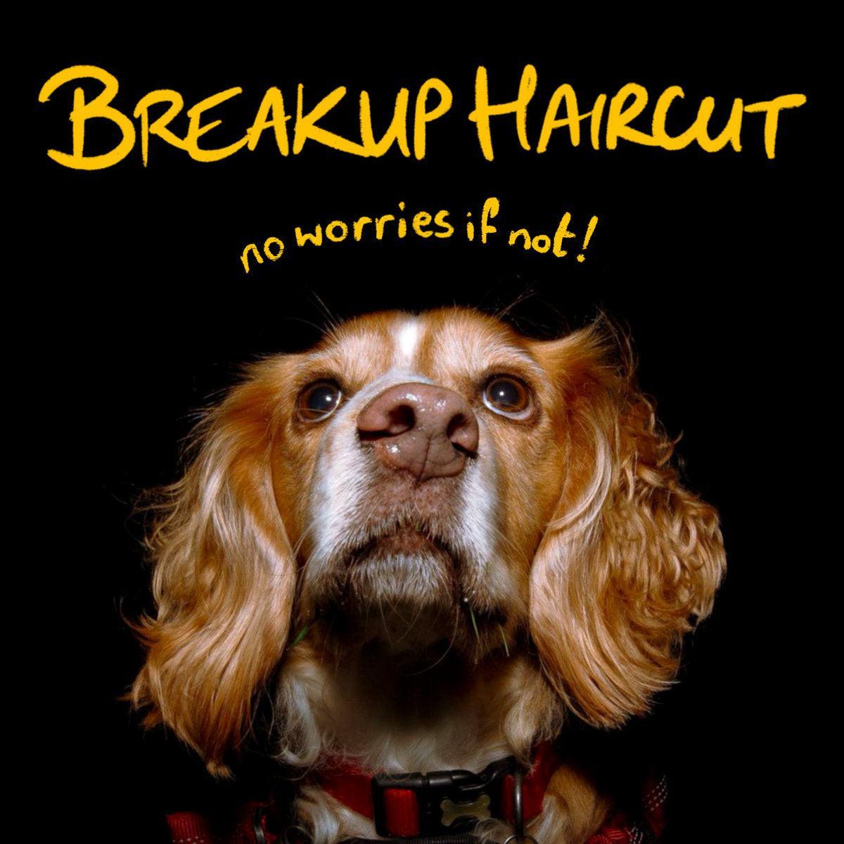 Breakup Haircut - Spite! Spite! Spite!