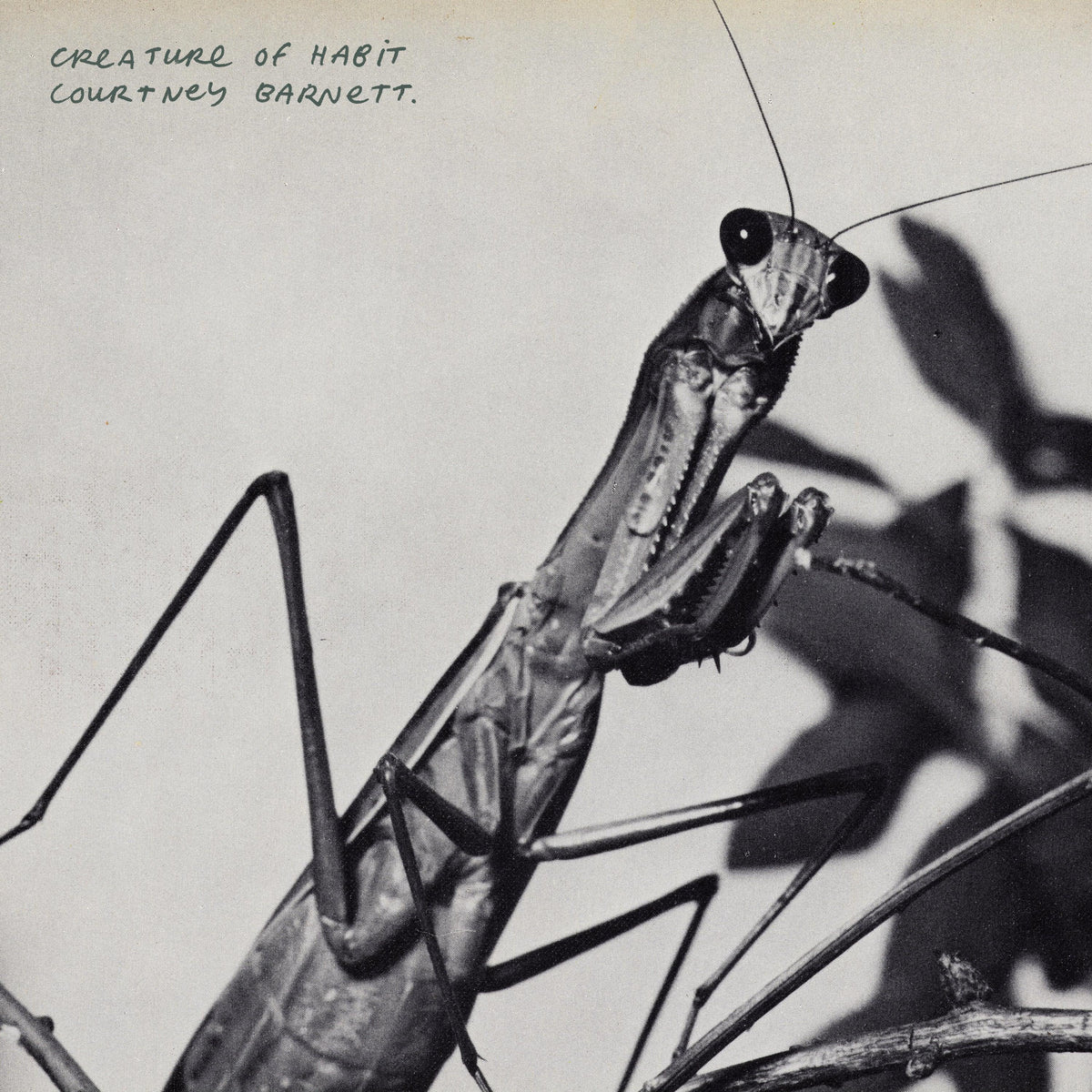 Courtney Barnett - Creature Of Habit CD