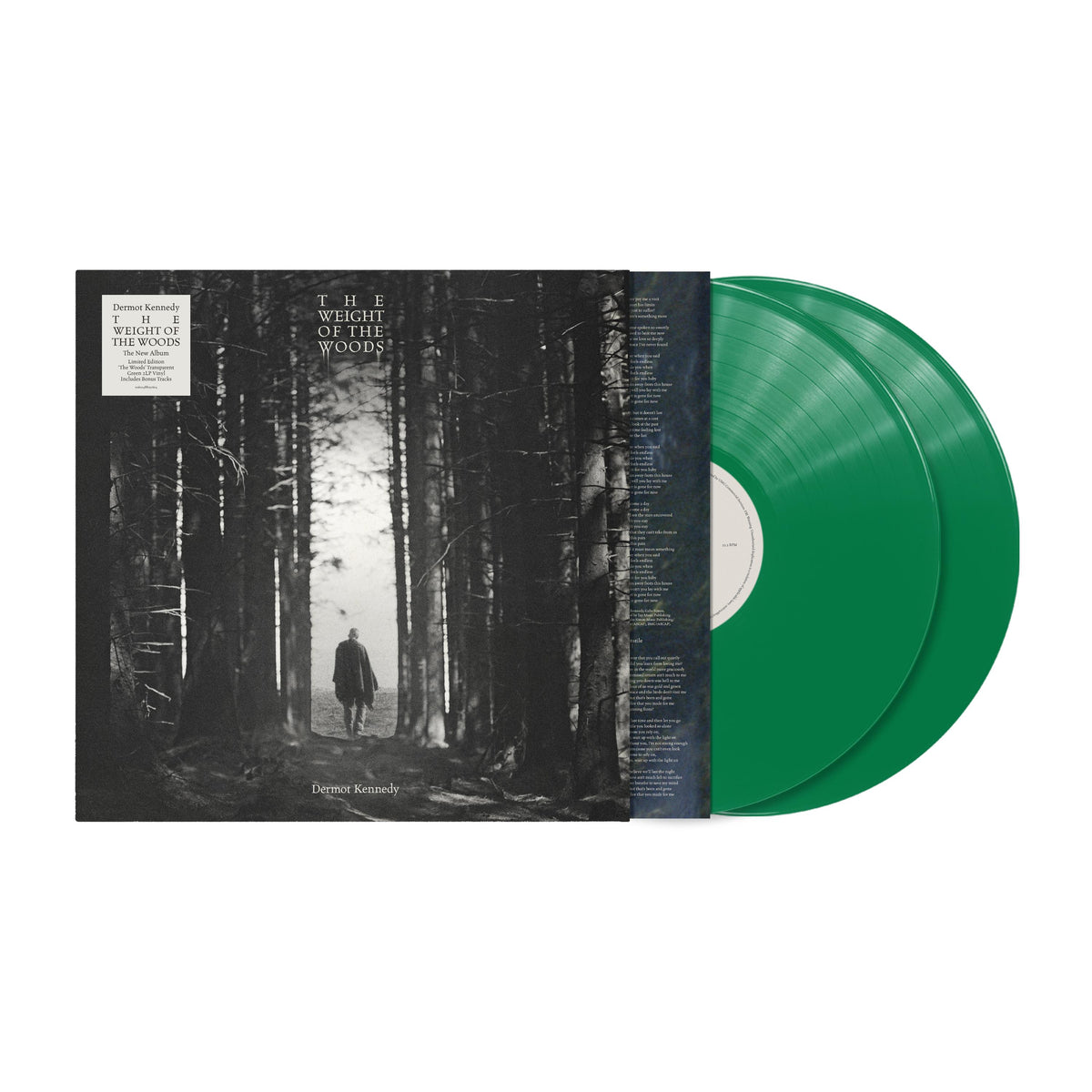 Dermot Kennedy - The Weight of the Woods