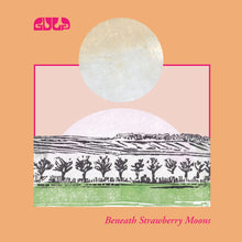 Load image into Gallery viewer, GULP - Beneath Strawberry Moons