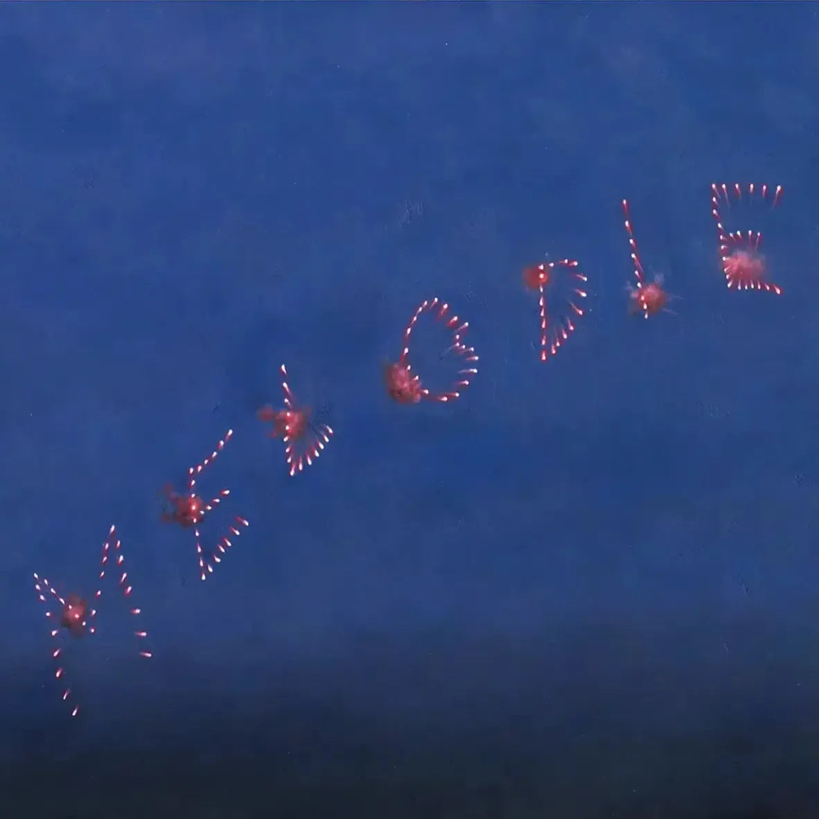 Slow Pulp - Melodie