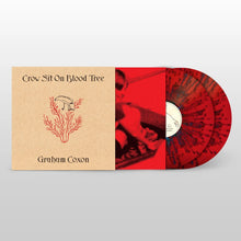 Load image into Gallery viewer, Graham Coxon - Crow Sit On Blood Tree