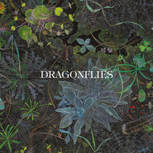 Cargar imagen en el visor de la galería, Dragonflies (Dhani Harrison y Nigel Godrich) - Slower