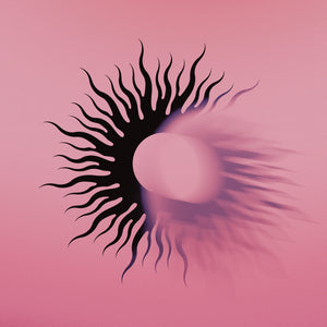 AFI – Silver Bleeds the Black Sun...