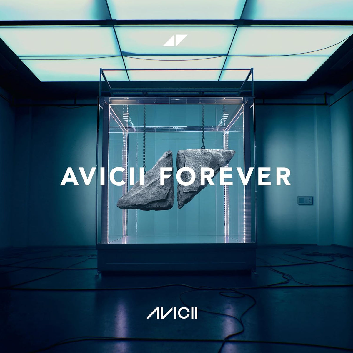 Avicii - Forever