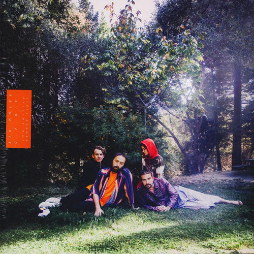 BIG THIEF - U.F.O.F