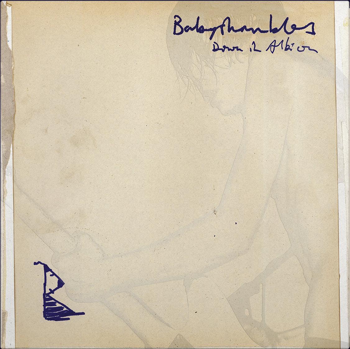 Babyshambles - Down In Albion (20th Anniversary Edition)