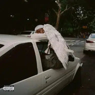 Blood Orange - Negro Swan
