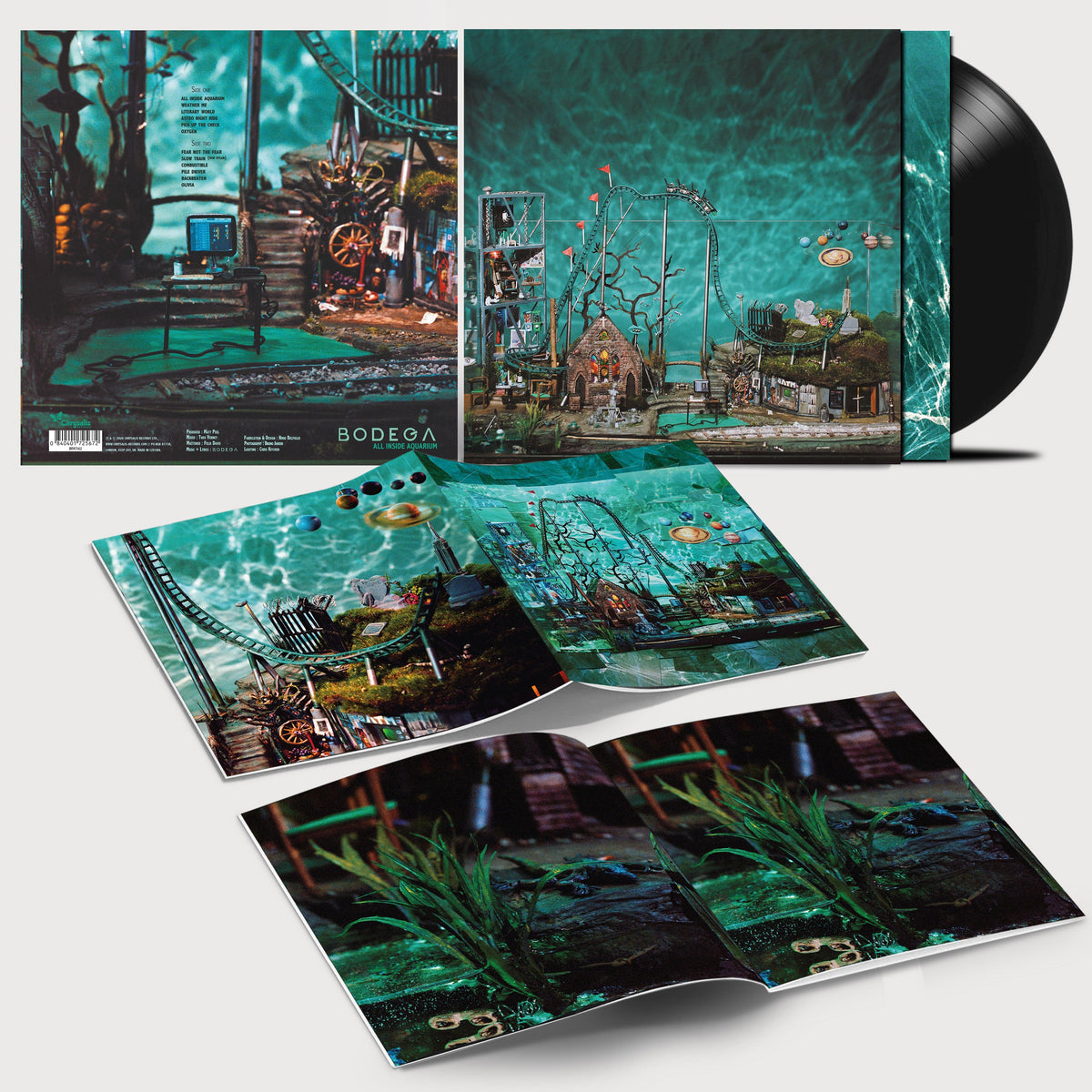 Bodega - All Inside Aquarium