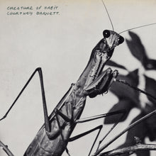 Load image into Gallery viewer, Courtney Barnett - Creature Of Habit CD