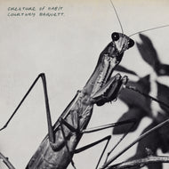 Courtney Barnett - Creature Of Habit CD