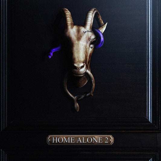 D-Block Europe - Home Alone 2 CD