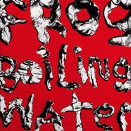 DIIV - Frog In Boiling Water