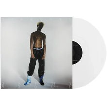 Load image into Gallery viewer, Danny Brown - Stardust