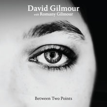 Load image into Gallery viewer, David Gilmour - Between Two Points Remixes (RSD 2025)