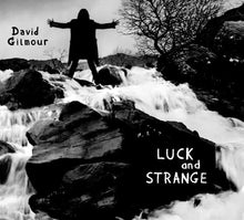 Load image into Gallery viewer, David Gilmour - Luck and Strange