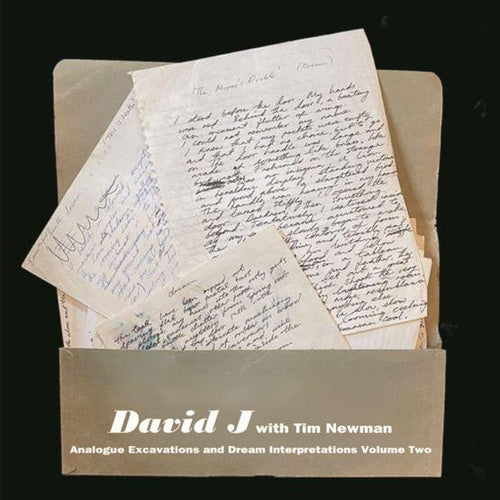 David J with Tim Newman - Analogue Excavations & Dream Interpretations Volume 2