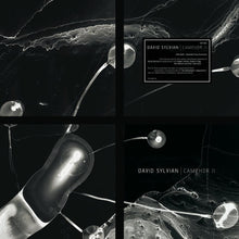 Load image into Gallery viewer, David Sylvian - Camphor II (RSD 2025)