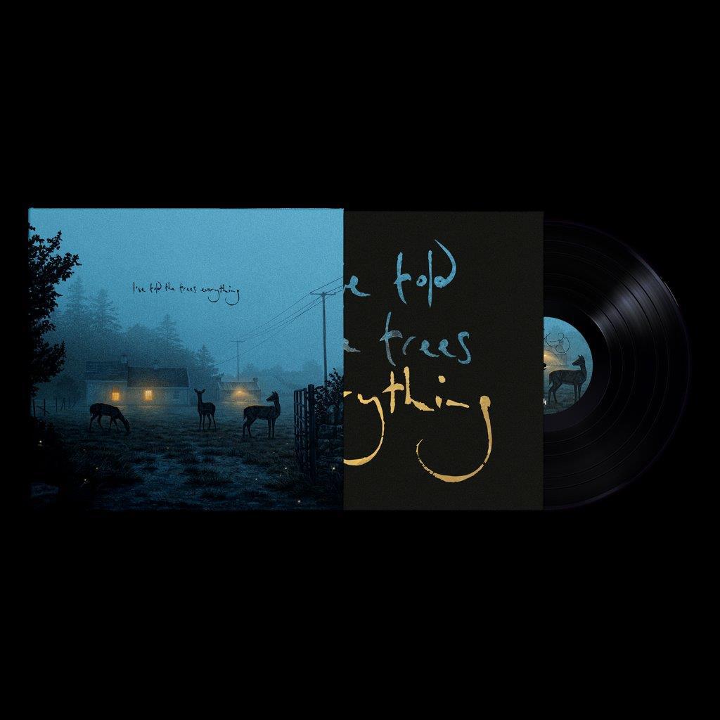 Dermot Kennedy - I’ve told the trees everything