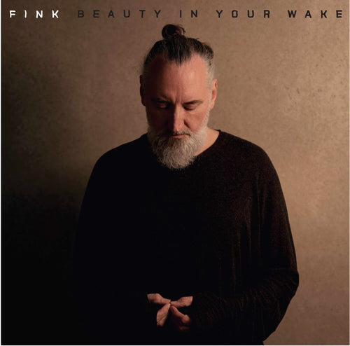 Fink - Beauty In Your Wake - Vinilo Instore