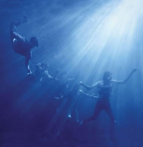 Foals - Total Life Forever 1LP Blue Eco vinyl