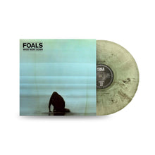 Load image into Gallery viewer, Foals - What Went Down (10th Anniversary Edition)