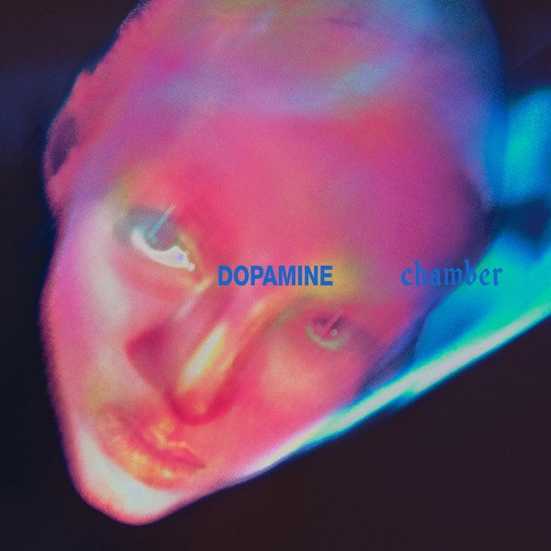 Sold Out - Fontaines D.C. - Dopamine Chamber - Vinilo Listening Party
