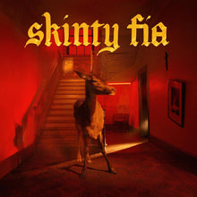 Load image into Gallery viewer, Fontaines D.C. - Skinty Fia CD