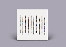 Load image into Gallery viewer, Frank Turner - The Next 10 Years