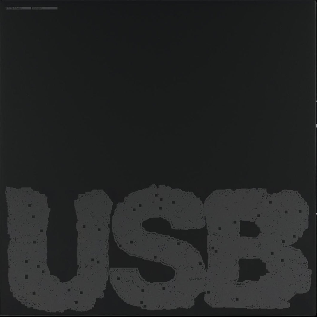 Fred Again.. - USB002