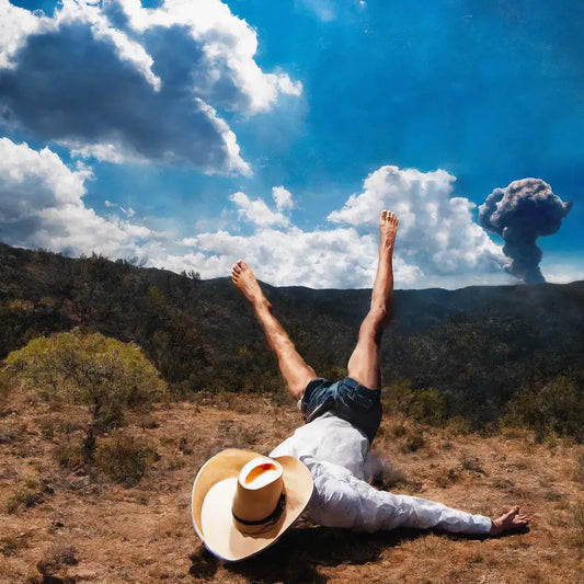 Geese - 3D Country (Clear Red Vinyl)