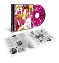Load image into Gallery viewer, Hole - Pretty On The Inside (35th Anniversary Edition) CD