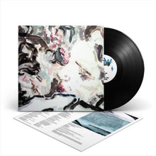 Load image into Gallery viewer, Iceage - For Love of Grace &amp; the Hereafter