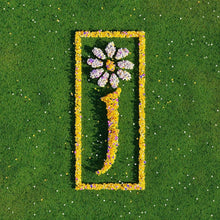 Load image into Gallery viewer, James - Nothing But Love: The Definitive Best Of