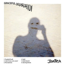 Load image into Gallery viewer, Joyeria - Graceful Degradation