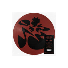 Load image into Gallery viewer, KAYTRANADA - AIN'T NO DAMN WAY! (Picture Disk LP)