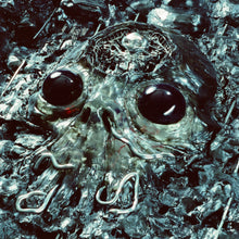 Load image into Gallery viewer, King Gizzard &amp; the Lizard Wizard - Alien Metal