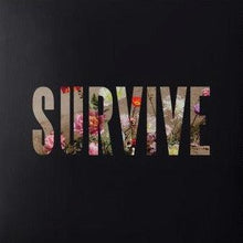 Load image into Gallery viewer, Lewis Capaldi - Survive EP CD