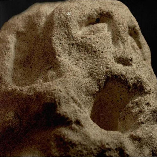 Madra Salach - Gorta