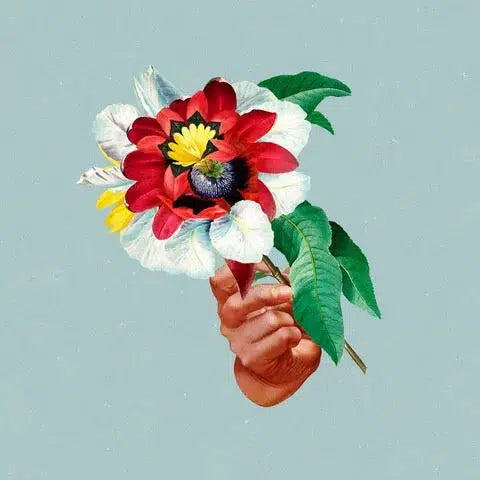 Maribou State - Kindoms In Colour