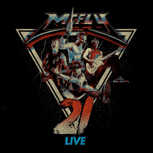 McFly - 21 Live