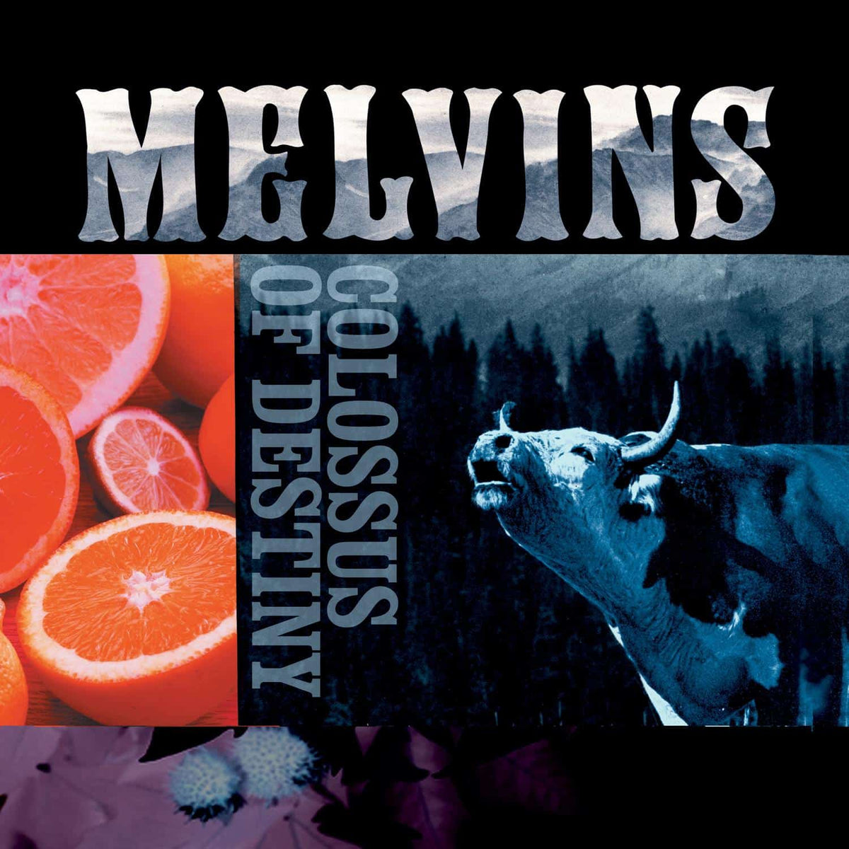 Melvins - Colossus of Destiny