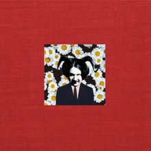 Load image into Gallery viewer, Meryl Streek - Stories They Don’t Teach You At School
