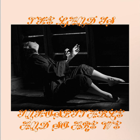Mitski - The Land is Inhospitable and So Are We