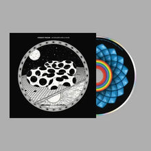 Load image into Gallery viewer, Modest Mouse - An Eraser and a Maze