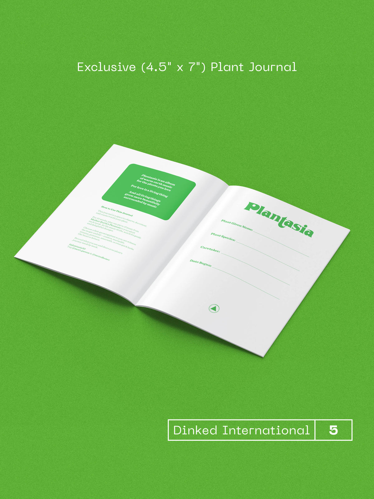 Mort Garson - Mother Earth’s Plantasia (50th Anniversary Edition)