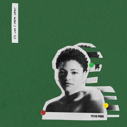 Nectar Woode - It's Like I Never Left