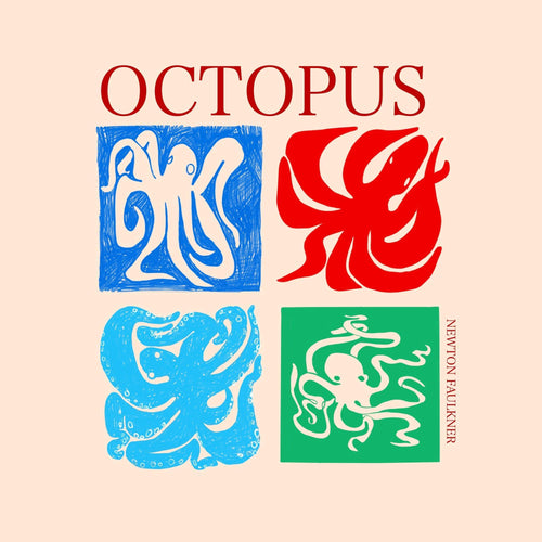 Newton Faulkner - OCTOPUS