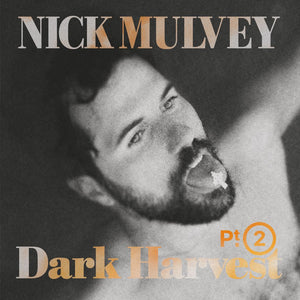 Nick Mulvey – Dark Harvest Pt. 2